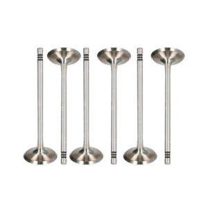 BMW 1.5 B38 A15 A Petrol Exhaust Valve